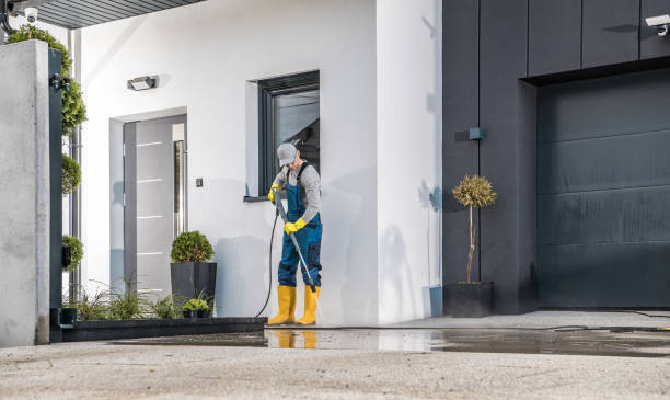 Best Solar Panel Cleaning  in Quinnesec, MI